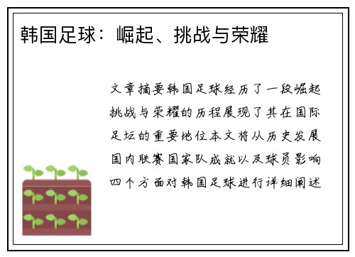 韩国足球：崛起、挑战与荣耀