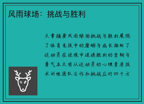 风雨球场：挑战与胜利